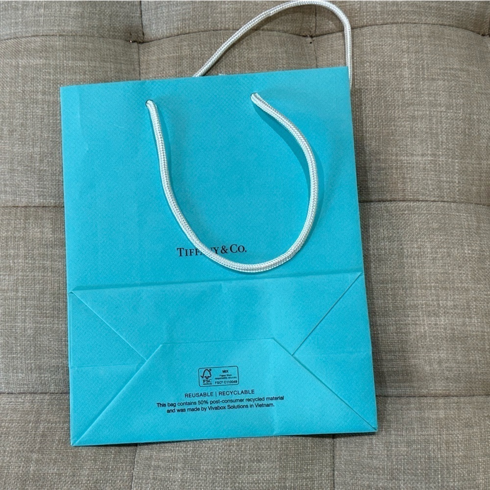 Luxury Shopping Bag Set - Tiffany & Louis Vuitton (Set of 3) EUC - Picture 4 of 9